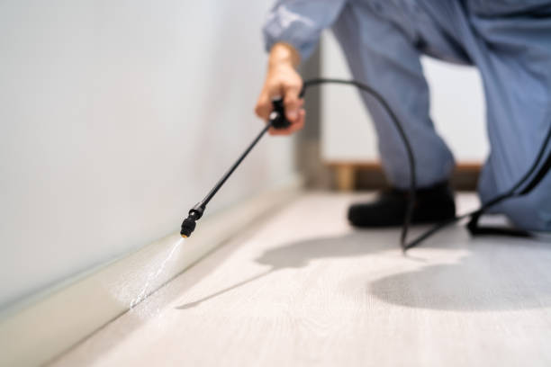 Licensed Mosquito Control service in West Kennebunk, ME - Show Me Pest Control