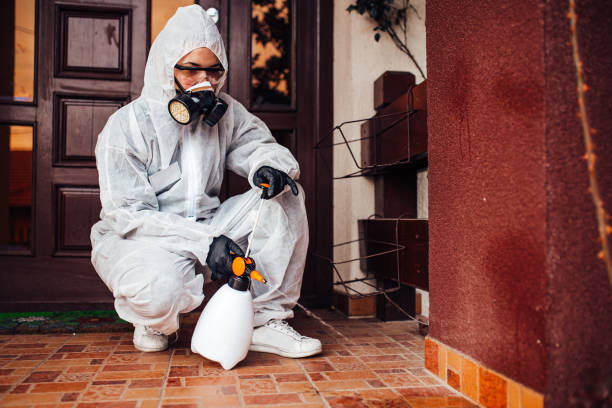 Reliable Mosquito Control contractor in West Kennebunk, ME by Show Me Pest Control