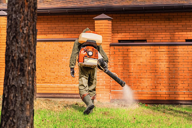 Top rated local Mosquito Control specialists in West Kennebunk, ME
